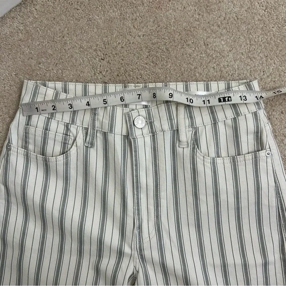 NWOT FRAME Le palazzo crop pant striped raw hem wide leg